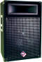 Nady PS115 2-Way Full Range Speaker (500 Watts, 1x15 in.)