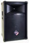 Nady THS1512 12-inch 320-watt 2-Way PA Speaker