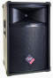 Nady THS1515 15-inch 600-watt 2-Way PA Speaker