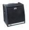 Peavey KB5 Keyboard Amplifier (150 Watts, 2x10 in.) reviews