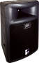Peavey PR15 Pro Light Speaker Enclosure (400 Watts, 1x15 in.)