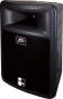 Peavey PR115P Pro Lite Series Powered PA Cabinet (1x15 in.)