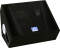 Peavey TLM2X 2-Way Floor Monitor (12 in.)