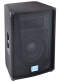 Peavey TLS2X Full-Range Speaker Cabinet (300 Watts, 12 in.)