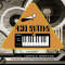 Peace Love Productions Acid Synths XOX- Loops and Samples