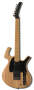 Parker P36 Electric Guitar (with Gig Bag)
