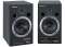 Roland DM20 Digital Stereo Micro Monitor