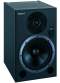 Roland DS8 Digital Bi-Amplified Monitor (120 Watts) lowest prices