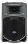 Samson dB500P Passive PA Cabinet (500 Watts, 15 in.)