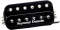 Seymour Duncan TB4 JB Model Trembucker Pickup reviews