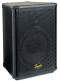 Squier SQ10 2-Way Speaker Cabinet (120 Watts, 1x10 in.)