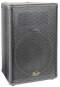 Squier SQ12 2-Way Speaker Cabinet (12 in., 160 Watts)