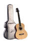 Silvertone George Jones Getaway Guitar Package