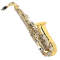 Silvertone AS300 E Flat Alto Saxophone (with Case) reviews