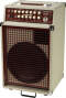 SWR California Blonde Acoustic Amp