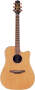 Takamine EAN10C Cutaway Acoustic-Electric Guitar (with Case)