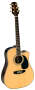Takamine EG334SC Cutaway Acoustic-Electric Guitar reviews