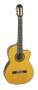 Takamine EG522C Classical Electric Guitar reviews