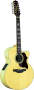 Takamine EG523C12 12-String Jumbo Cutaway Acoustic Guitar reviews