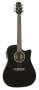 Takamine EG531SC Acoustic-Electric Guitar reviews