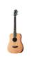 Taylor Baby M Acoustic Guitar (with Gig Bag)