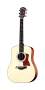 Taylor 310 Acoustic Guitar (with Case) reviews