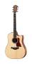 Taylor 310CEL30 30th Anniversary Acoustic-Electric Guitar (with Case)
