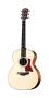 Taylor 314 Acoustic Guitar (with Case)