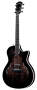 Taylor T5 Standard Maple Acoustic-Electric Guitar (with Case)