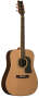 Washburn D10SDL Solid Top Acoustic Guitar