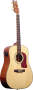 Washburn DK20T Acoustic Guitar with Built-In Tuner