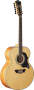 Washburn J28S12DL Cumberland Jumbo 12-String Acoustic Guitar (with Case)