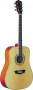 Washburn WD32SW Solid Top Acoustic Guitar (with Gig Bag)