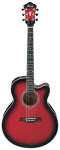 Ibanez AEL20E Acoustic-Electric Guitar