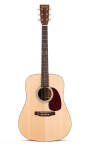 Martin D1 Acoustic Guitar