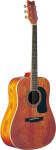 Washburn D11 Acoustic Guitar
