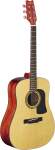 Washburn D10S Solid Top Acoustic Guitar